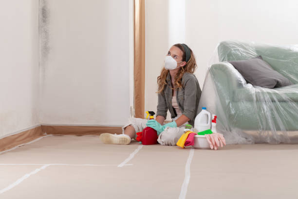 Reliable Mold Remediation contractor in Westbury, NY by WQB Mold Removal